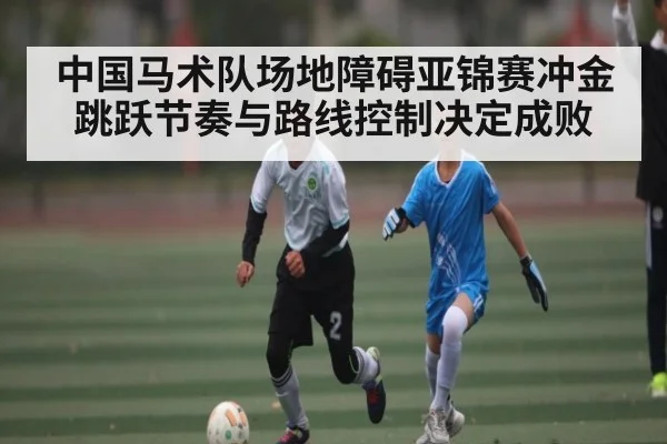 中国马术队场地障碍亚锦赛冲金 跳跃节奏与路线控制决定成败
